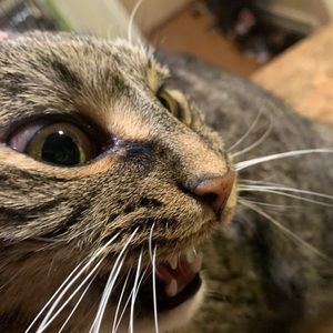 Meet your Posher, Jacob